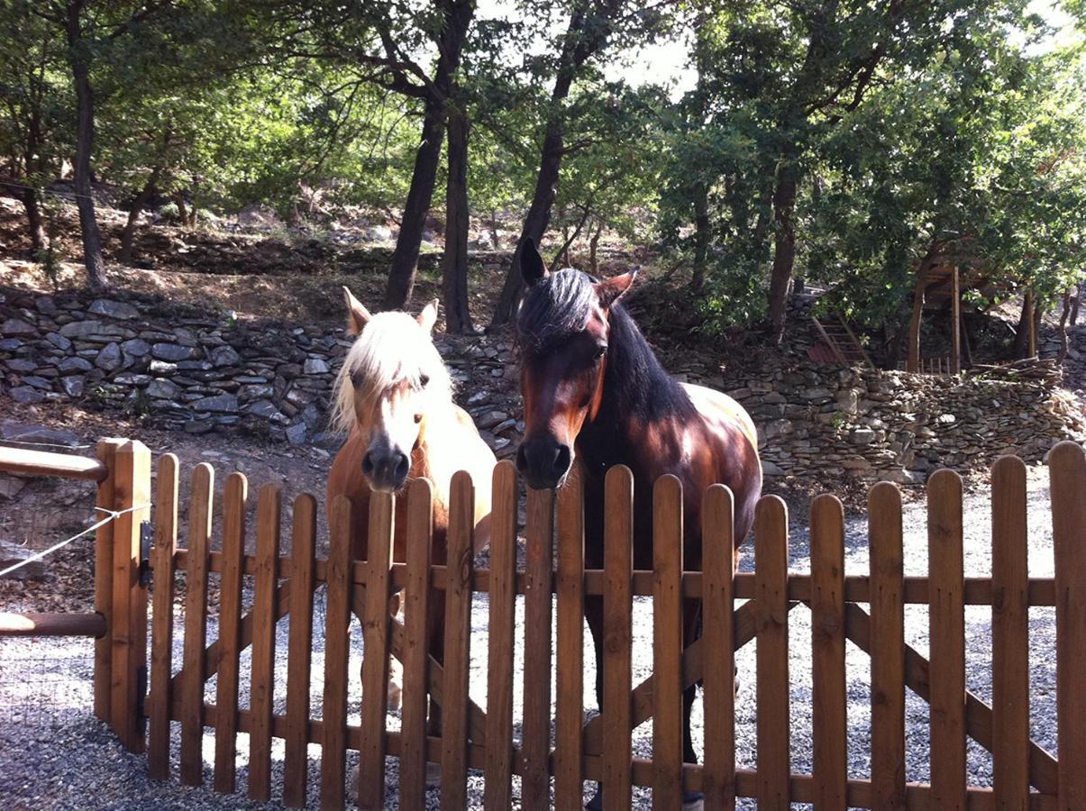 Gli Angeli Agriturismo Βίλα Cisano sul Neva Εξωτερικό φωτογραφία